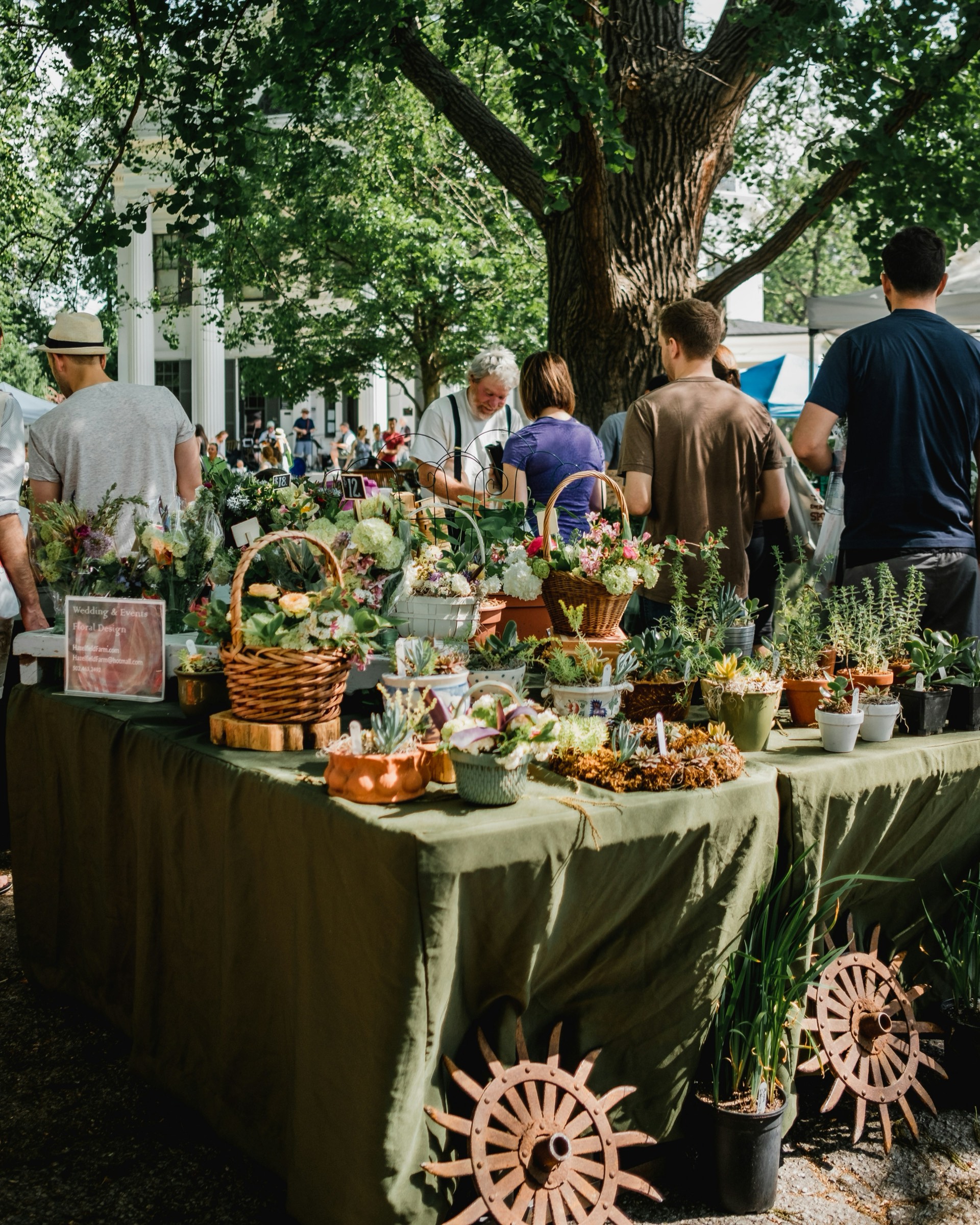 Farmers market tables with flower baskets and fresh plants