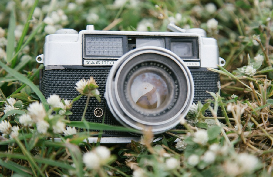 Vintage camera resting in wildflowers